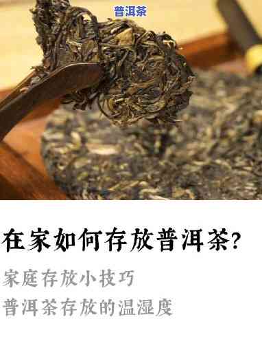 购买过的普洱茶怎样妥善保存与饮用？