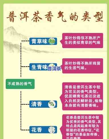 普洱的香味是什么香气，探秘普洱茶的特别香气：你不可错过的味道体验