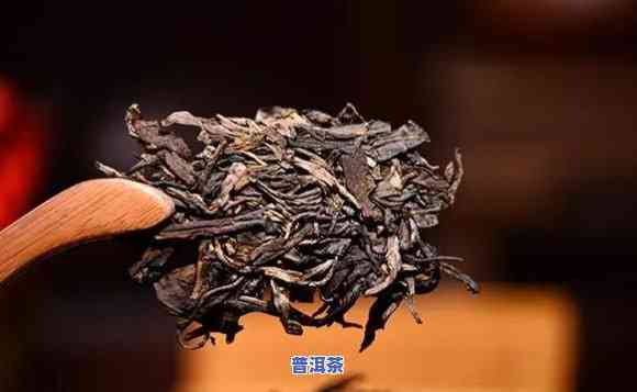 老班章春茶有什么区别，探究老班章春茶的特别之处：与其它茶叶的区别在哪里？