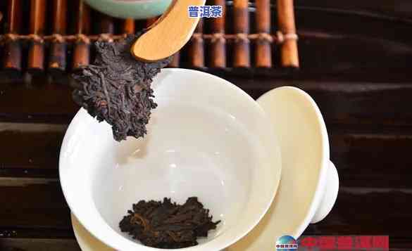 广东普洱茶排行榜：最新前十名一览