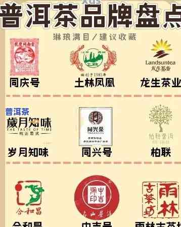 广东普洱茶排行榜：最新前十名一览