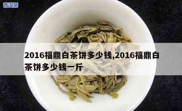 福鼎白茶荒野老白茶2016年价格，【2016年价格】福鼎白茶荒野老白茶多少钱一斤