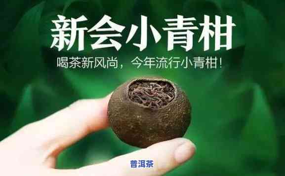 青柑普洱茶测评图表大全-青柑普洱茶测评图表大全最新