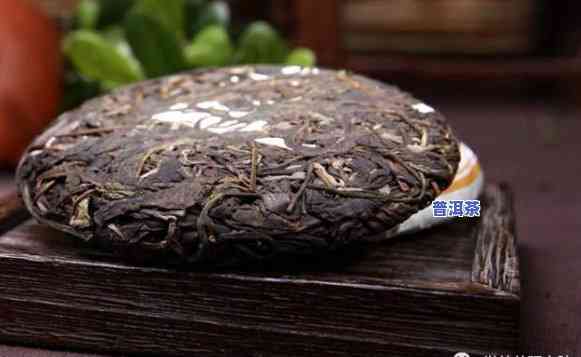 昆明普洱茶：怎样在冬季更佳保存与保鲜？