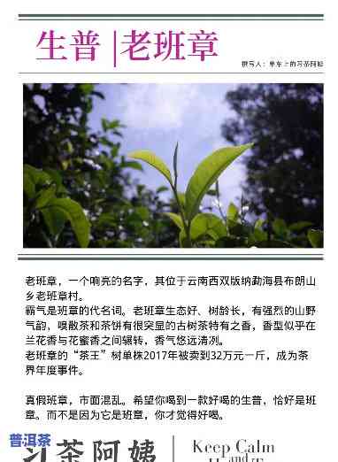 深度解析：老班章生茶口感及其特点