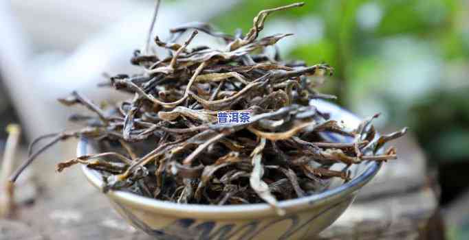 古树普洱散茶的特点-古树普洱散茶的特点是什么