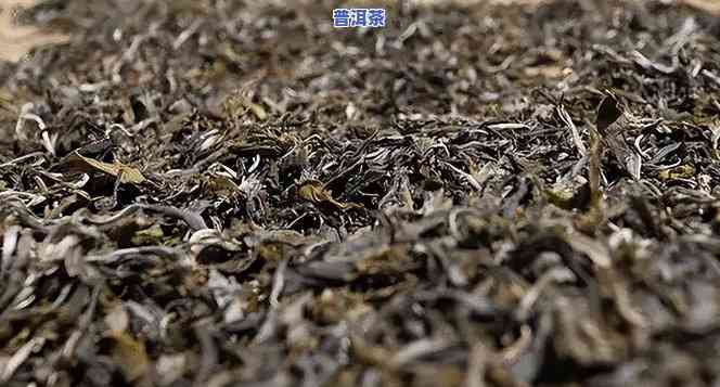 普洱茶发霉好不好泡开水喝，普洱茶发霉了还能不能泡开水喝？