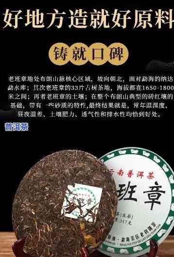 最新！老班章茶叶价格一斤多少钱？全网最全报价一览