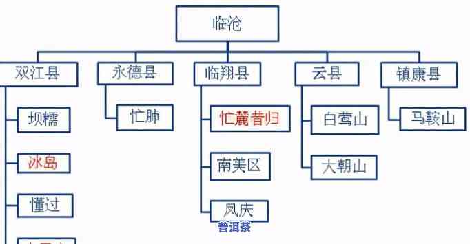 普洱茶档次特征怎么分类的，探究普洱茶的档次特征：怎样实施分类？