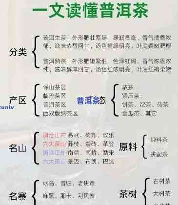 普洱茶档次特征怎么分类的，探究普洱茶的档次特征：怎样实施分类？