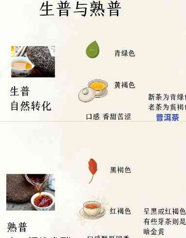 熟普洱茶的更佳搭配表图，【图表】熟普洱茶的更佳搭配，让你品味不一样的口感！