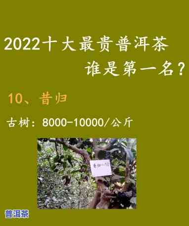 大石桥普洱茶价格一览：2022年最新价目表