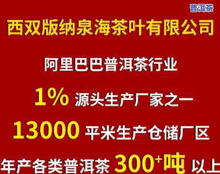 泉海茶市第二代普洱-泉海茶市第二代普洱茶价格