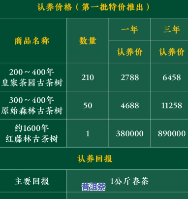 一棵古树茶官网：探索茶文化的投资与开发机会，了解古树茶价格