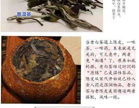 白茶加普洱熟茶加陈皮有什么功效，三重功效：白茶、普洱熟茶和陈皮的完美搭配