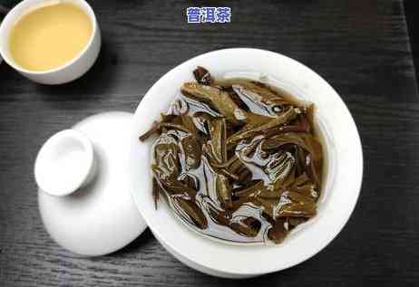 精品普洱茶怎样品鉴？视频教程全解析