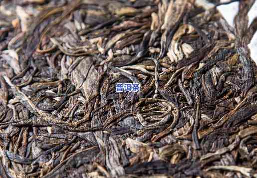 普洱茶中精品：哪种茶是更佳选择？