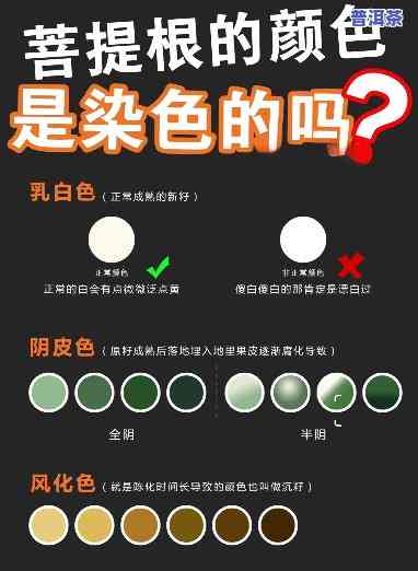 普洱茶染色菩提根：是不是会脱色及怎样鉴别？