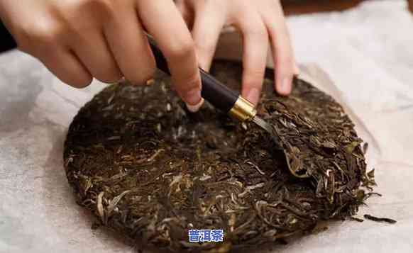 怎样撬开普洱茶，「技巧分享」怎样巧妙撬开普洱茶？