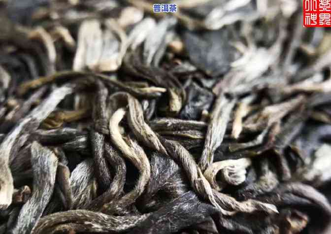 老班章古树茶春茶价，探寻老班章古树茶春茶价格，品味茶叶珍品的价值所在