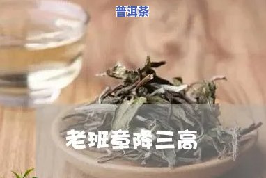 老班章茶能降三高吗-老班章茶可以减肥吗