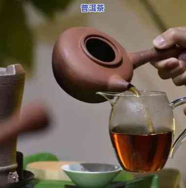 熟普洱茶煮茶方法：煮茶 vs 泡茶，怎样选择及正确操作