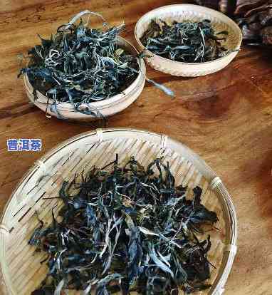 深入解析：易武刮风寨茶的特点、口感与古树茶特性