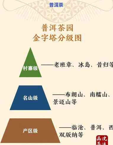 普洱茶属于几级茶区类别-普洱茶属于几级茶区类别的