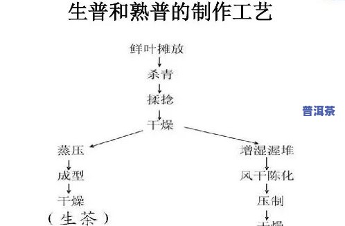 普洱茶在运输期间是怎样逐渐发酵的，揭示普洱茶运输中的神秘发酵过程