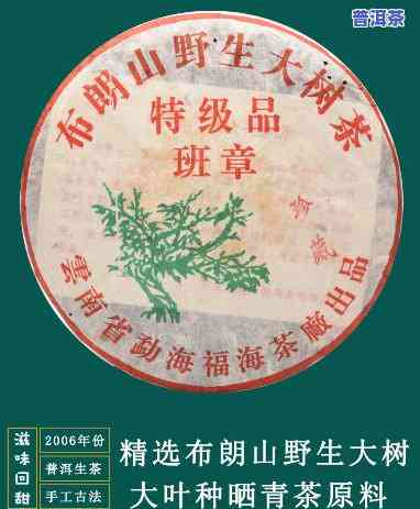 老班章布朗山生普洱茶：价格与图片全览