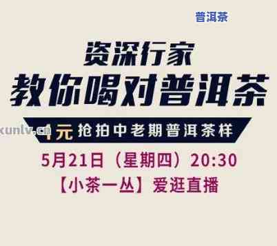 普洱茶直播批发网在哪找-普洱茶直播批发网在哪找到