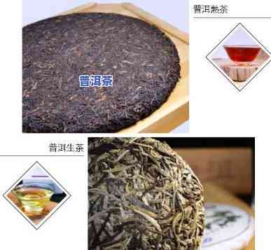 普洱茶是散装吗还是液体的，普洱茶：散装还是液态？