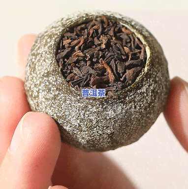 小青柑加普洱的茶是什么茶？详解其种类与特点