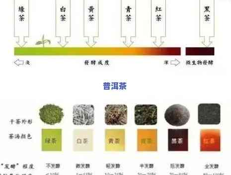 普洱茶口感描述专用名词：定义与解析