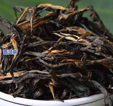 老班章300年古树茶问茶师典藏版：千年古茶树及价格全揭秘