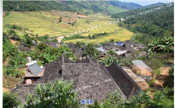 布朗山老班章生茶价格，深度解析：布朗山老班章生茶的市场价格及作用因素