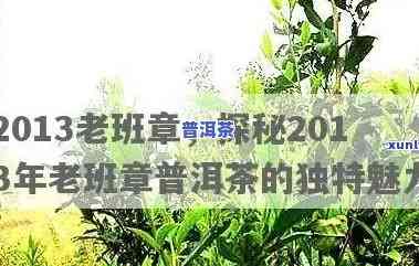 2013老班章，探秘2013年老班章普洱茶：口感、特点及历史文化解析