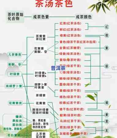 普洱懂过：产区、茶叶品种及口感特点全解析