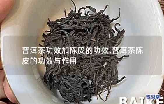 橙皮加普洱茶的功效与作用及禁忌：全面解析