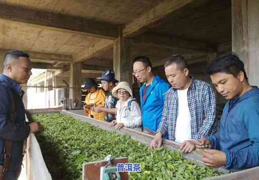 布朗山老班章村：茶农协会与村民小组的发展探索