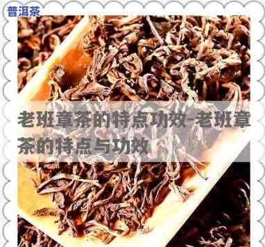 老班章散茶的保存方法与外观特点解析