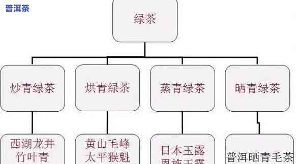 普洱茶怎样分级别的茶种类，深度解析：普洱茶的级别分类及其代表性茶种