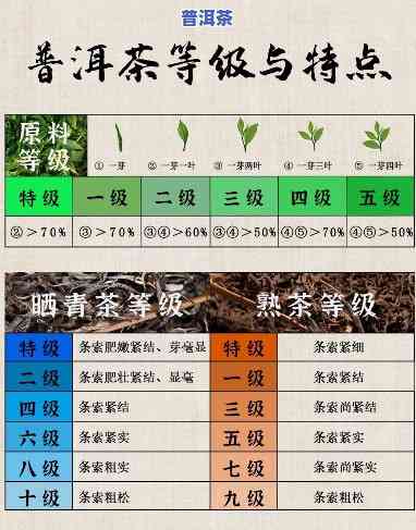 普洱茶分级标准，深入熟悉普洱茶：解析其分级标准与品质特点