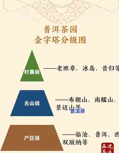 普洱茶分级标准，深入熟悉普洱茶：解析其分级标准与品质特点