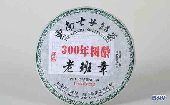 老班章一百年树林龄-300年树龄老班章