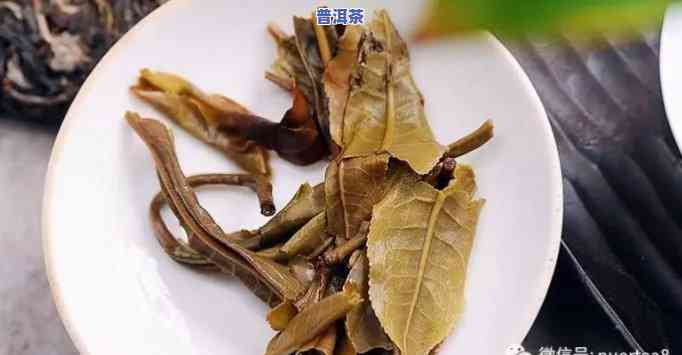 普洱茶里有茶梗：好坏优劣怎样判断？