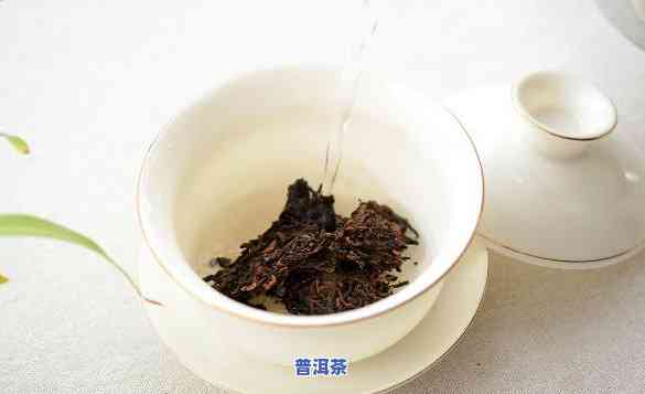 冲泡普洱茶：哪款水最美味？女性必看视频