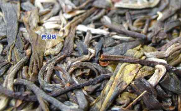 普洱茶叶算什么茶种的茶-普洱茶叶算什么茶种的茶叶