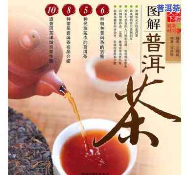 广东普洱茶历史简介高清图片大全