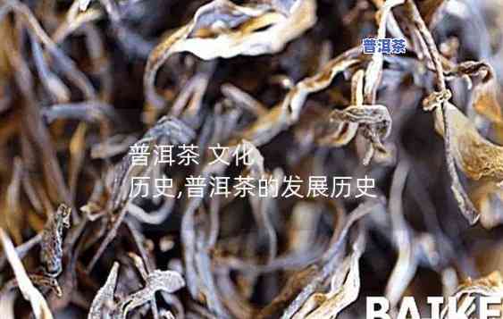 广东普洱茶历史简介图片-广东普洱茶历史简介图片大全